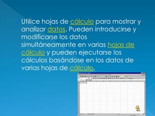 Utilice hojas de cálculo para mostrar y analizar datos. Pueden introducirse y modificarse los datos simultáneamente en varias hojas de cálculo y pueden ejecutarse los cálculos basándose en los datos de varias hojas de cálculo. 