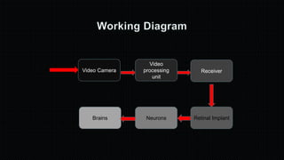 Video Camera
Video
processing
unit
Receiver
Retinal ImplantNeuronsBrains
 