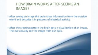 HOW BRAIN WORKS AFTER SEEING AN
IMAGE?
• After seeing an image the brain takes information from the outside
world and encodes it in patterns of electrical activity.
• After the creating pattern the brain get an visualization of an image.
That we actually see the image from our eyes.
 