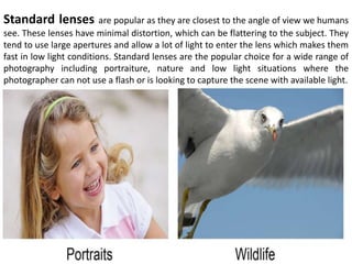 Standard lenses are popular as they are closest to the angle of view we humans
see. These lenses have minimal distortion, which can be flattering to the subject. They
tend to use large apertures and allow a lot of light to enter the lens which makes them
fast in low light conditions. Standard lenses are the popular choice for a wide range of
photography including portraiture, nature and low light situations where the
photographer can not use a flash or is looking to capture the scene with available light.
 