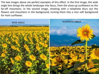 The two images above are perfect examples of this effect. In the first image, the wide
angle lens brings the whole landscape into focus, from the close-up sunflowers to the
far-off mountains. In the second image, shooting with a telephoto blurs out the
flowers and mountains in the background, turning them into a nice soft background
for main sunflower.
WIDE ANGLE TELEPHOTO ANGLE
 