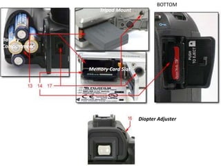 Battery
Compartment
Memory Card Slot
Tripod Mount
Diopter Adjuster
BOTTOM
 