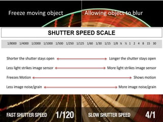 Freeze moving object Allowing object to blur
 
