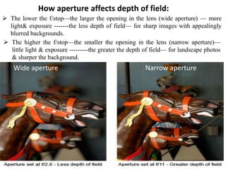Wide Aperture
f/2.0 - low f-stop
number
shallow depth of
field
Narrow Aperture
f/16 - high f-stop number
large depth of field
 The lower the f/stop—the larger the opening in the lens (wide aperture) — more
light& exposure -------the less depth of field— for sharp images with appealingly
blurred backgrounds.
 The higher the f/stop—the smaller the opening in the lens (narrow aperture)—
little light & exposure ---------the greater the depth of field— for landscape photos
& sharper the background.
How aperture affects depth of field:
Wide aperture Narrow aperture
 