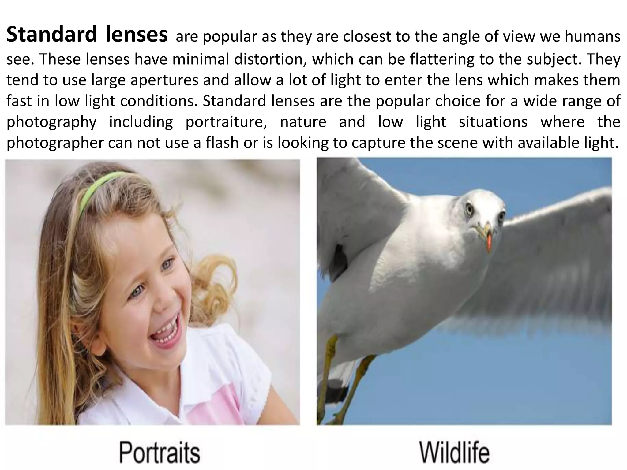Standard lenses are popular as they are closest to the angle of view we humans
see. These lenses have minimal distortion, which can be flattering to the subject. They
tend to use large apertures and allow a lot of light to enter the lens which makes them
fast in low light conditions. Standard lenses are the popular choice for a wide range of
photography including portraiture, nature and low light situations where the
photographer can not use a flash or is looking to capture the scene with available light.
 