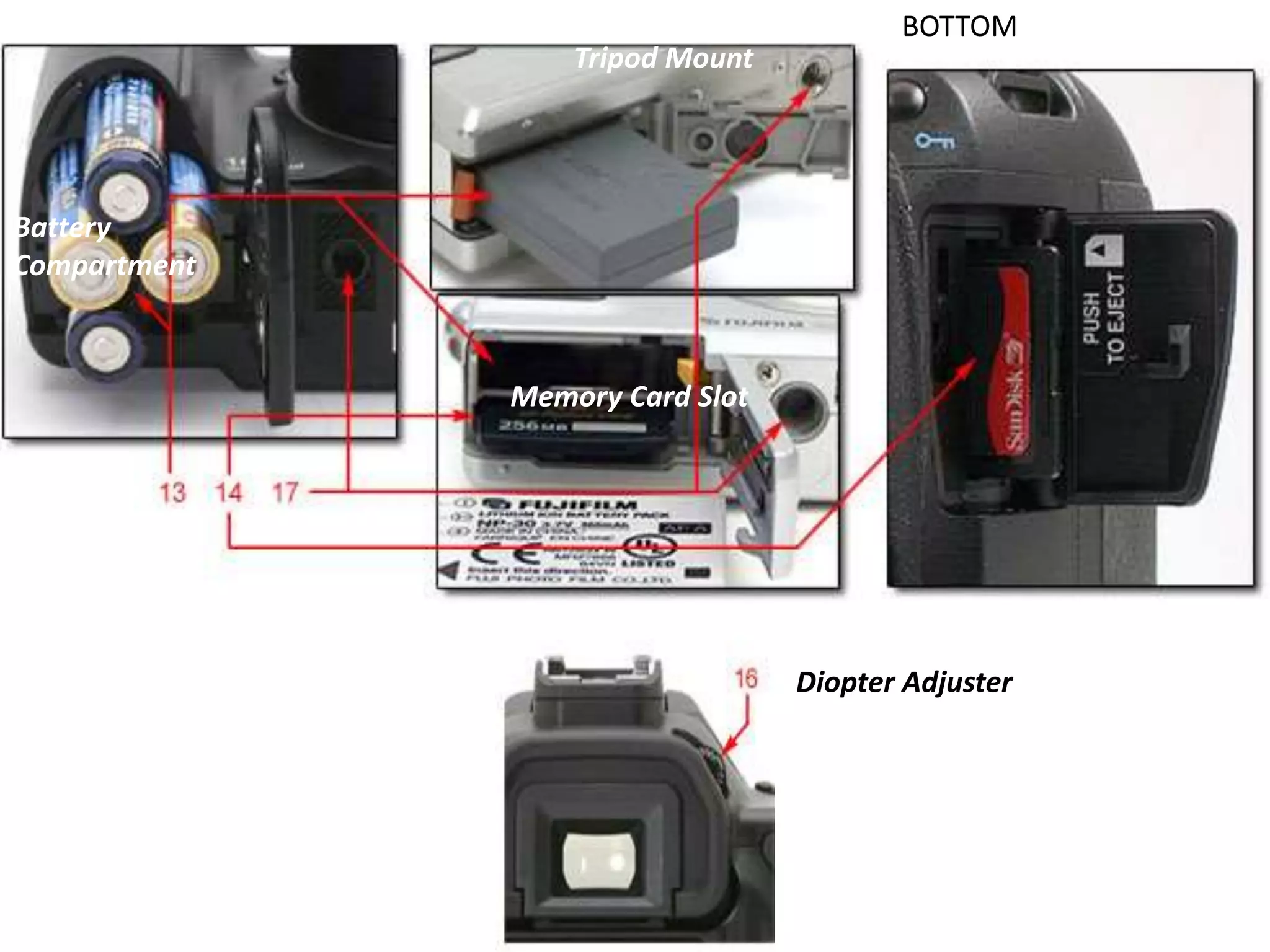 Battery
Compartment
Memory Card Slot
Tripod Mount
Diopter Adjuster
BOTTOM
 