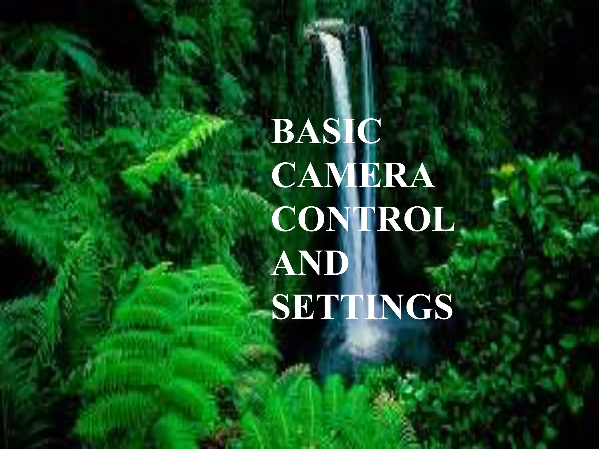BASIC
CAMERA
CONTROL
AND
SETTINGS
 