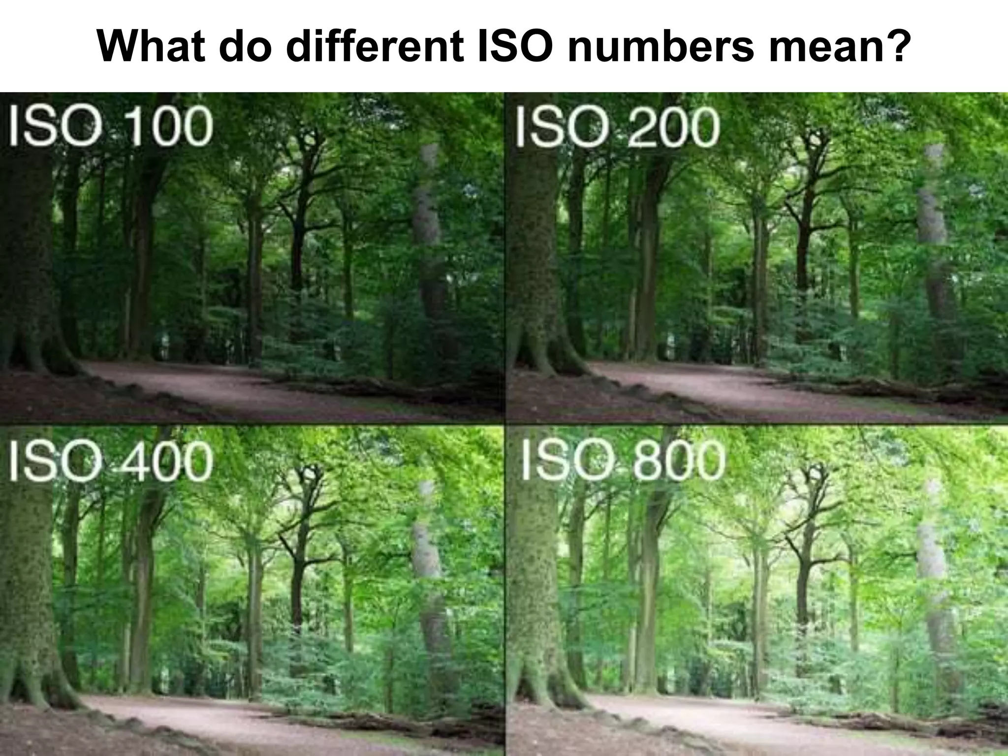 What do different ISO numbers mean?
 
