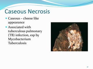 basic pathology.pdf
