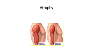 Basic Pathology I.pptx