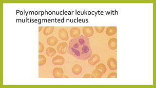 Basic pathology in ophthalmology | PDF