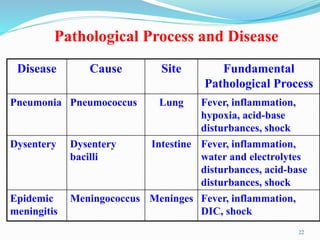 Pathological Process and Disease
Disease Cause Site Fundamental
Pathological Process
Pneumonia Pneumococcus Lung Fever, inflammation,
hypoxia, acid-base
disturbances, shock
Dysentery Dysentery
bacilli
Intestine Fever, inflammation,
water and electrolytes
disturbances, acid-base
disturbances, shock
Epidemic
meningitis
Meningococcus Meninges Fever, inflammation,
DIC, shock
22
 