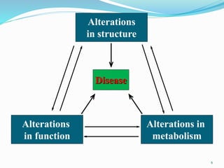 Alterations
in structure
Disease
Alterations
in function
Alterations in
metabolism
6
 