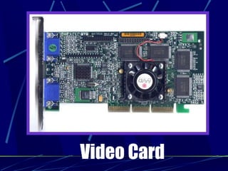 Video Card
 