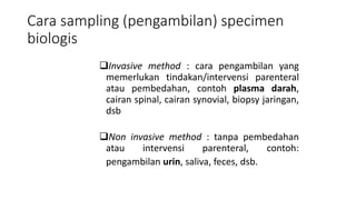 Cara sampling (pengambilan) specimen
biologis
Invasive method : cara pengambilan yang
memerlukan tindakan/intervensi parenteral
atau pembedahan, contoh plasma darah,
cairan spinal, cairan synovial, biopsy jaringan,
dsb
Non invasive method : tanpa pembedahan
atau intervensi parenteral, contoh:
pengambilan urin, saliva, feces, dsb.
 