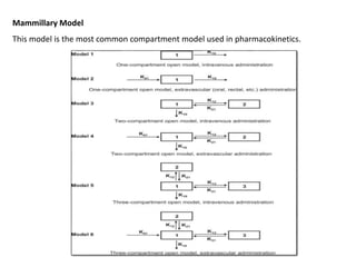 Mammillary Model
This model is the most common compartment model used in pharmacokinetics.
 