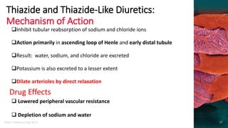 Basic Pharmacology of Diuretics | PDF
