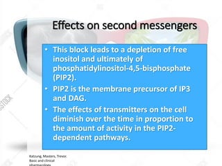 Effects on second messengers
• This block leads to a depletion of free
inositol and ultimately of
phosphatidylinositol-4,5-bisphosphate
(PIP2).
• PIP2 is the membrane precursor of IP3
and DAG.
• The effects of transmitters on the cell
diminish over the time in proportion to
the amount of activity in the PIP2-
dependent pathways.
Katzung, Masters, Trevor.
Basic and clinical
 