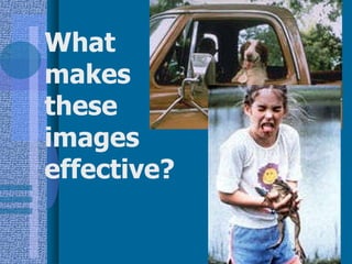 What makes these images effective? 