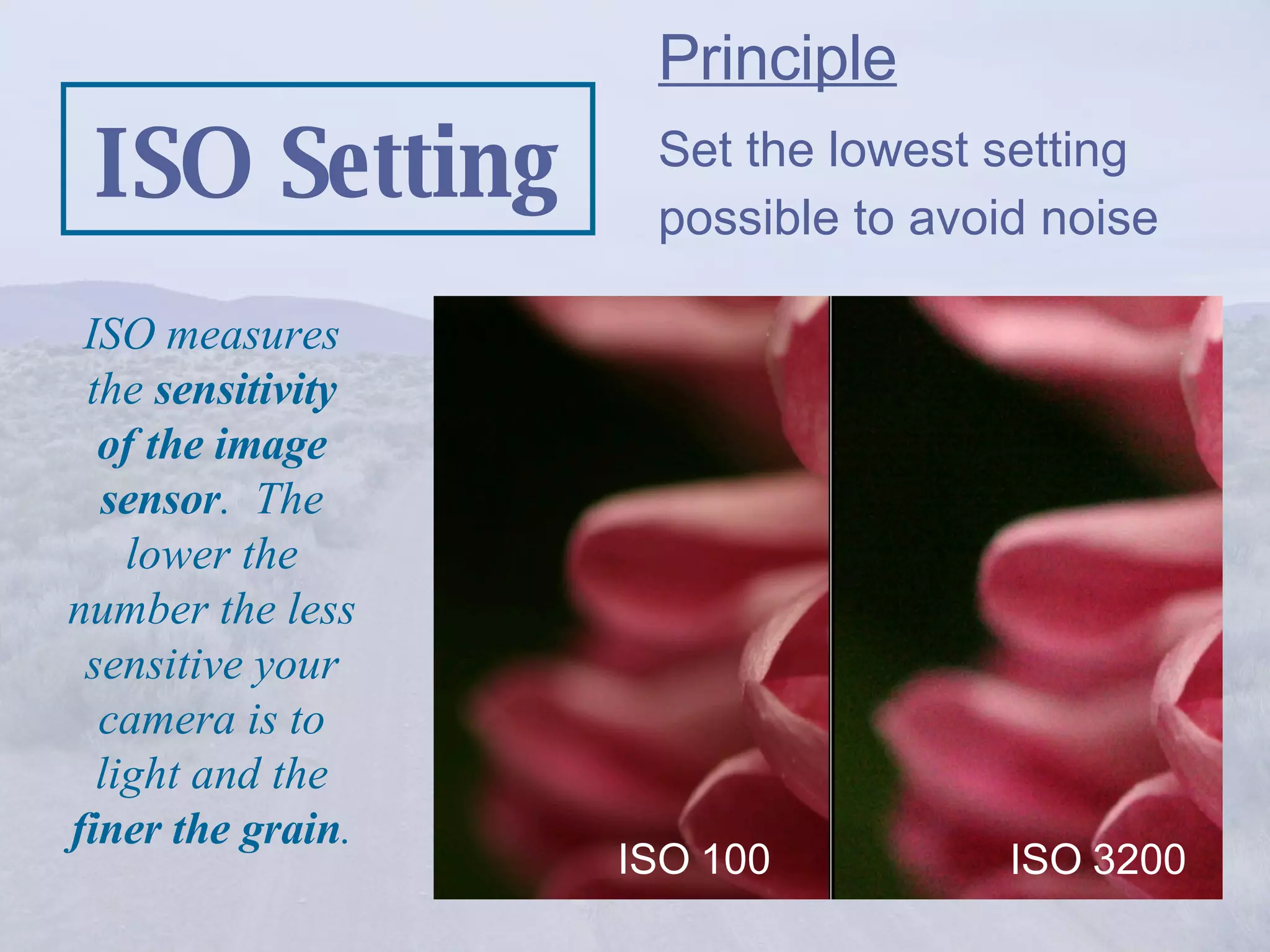 ISO Setting Principle Set the lowest setting possible to avoid noise  ISO measures the  sensitivity of the image sensor .  The lower the number the less sensitive your camera is to light and the  finer the grain .   ISO 100 ISO 3200  