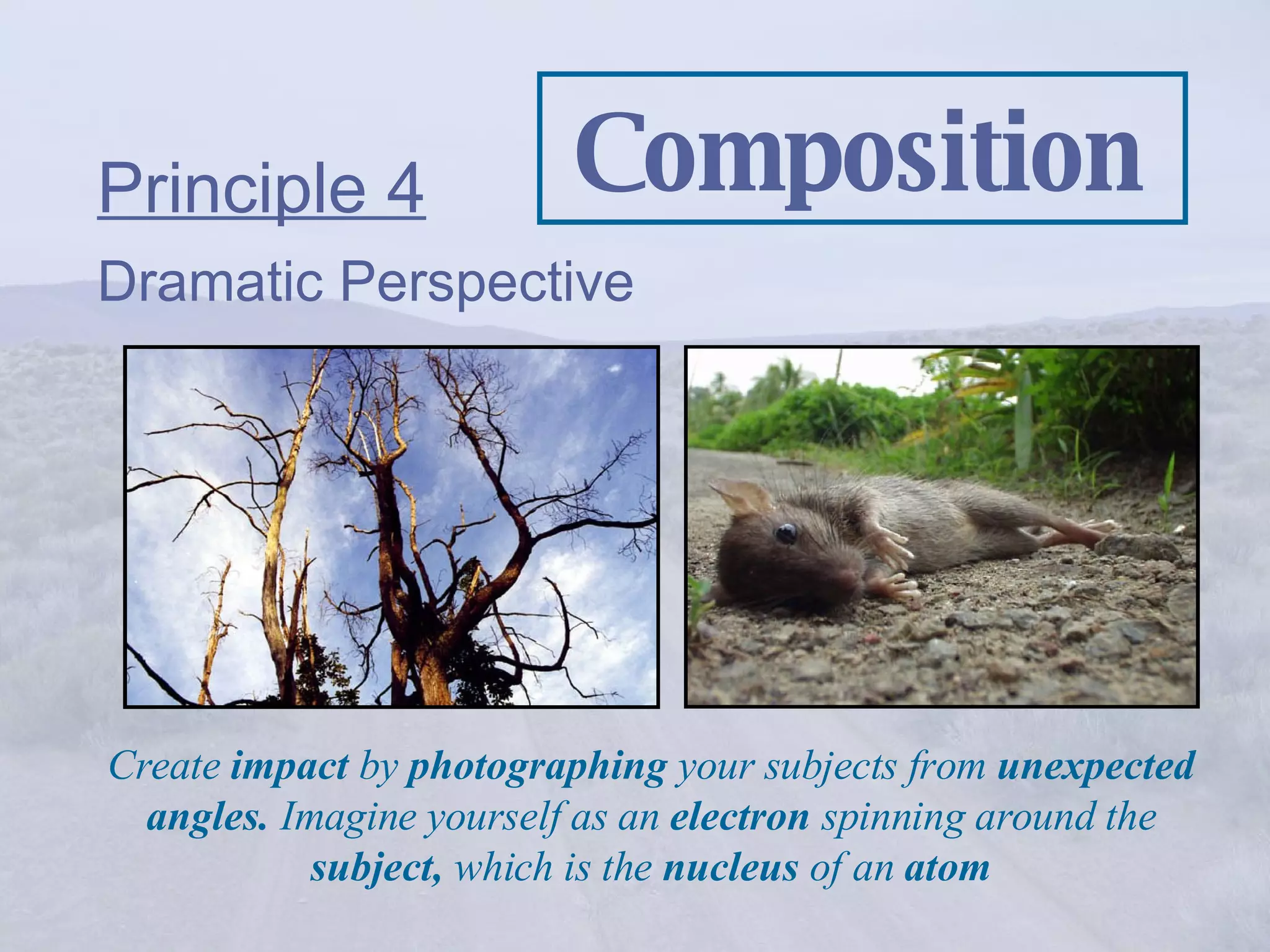 Composition Principle 4   Dramatic Perspective Create  impact  by  photographing  your subjects from  unexpected angles.  Imagine yourself as an  electron  spinning around the  subject,  which is the  nucleus  of an  atom 