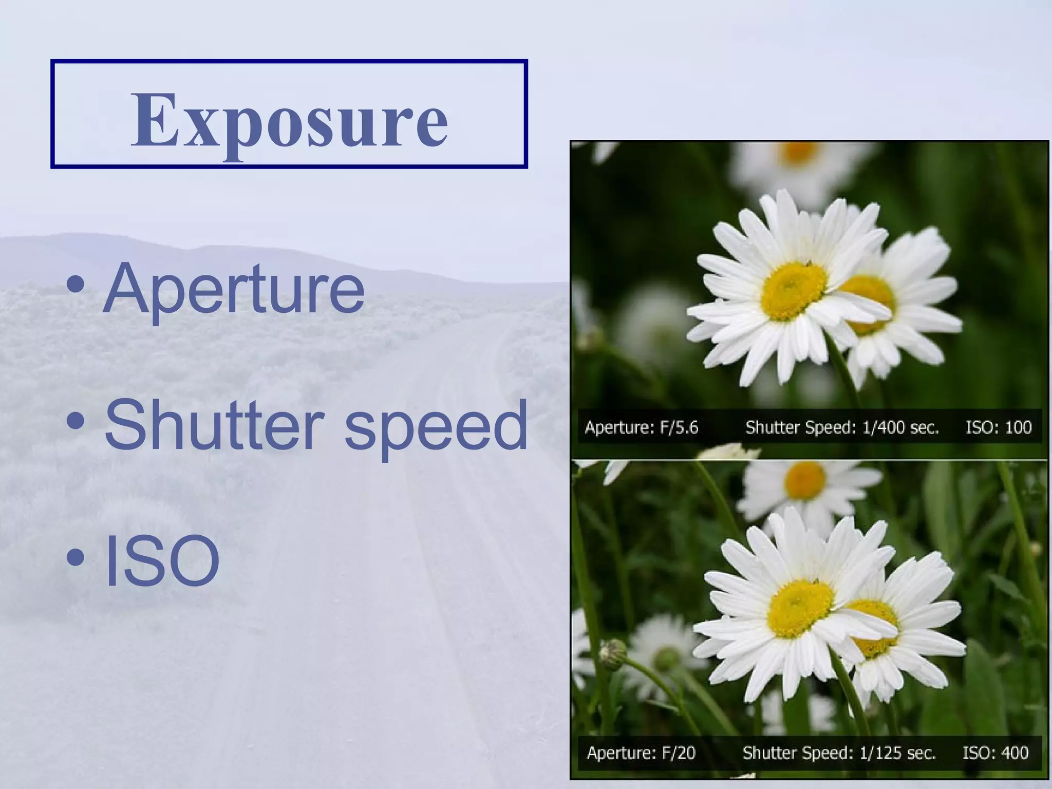 Exposure Aperture Shutter speed ISO 