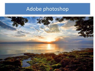 Adobe photoshop
 