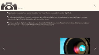 Basic Photography.pdf