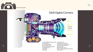 Basic Photography.pdf