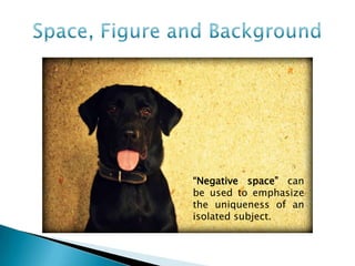 “Negative space” can
be used to emphasize
the uniqueness of an
isolated subject.
 