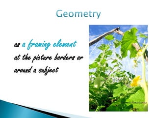 as a framing element
at the picture borders or
around a subject
 