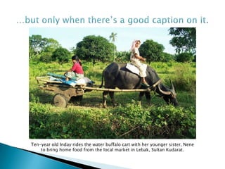 Ten-year old Inday rides the water buffalo cart with her younger sister, Nene
    to bring home food from the local market in Lebak, Sultan Kudarat.
 