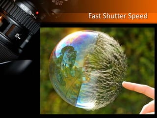 Fast Shutter Speed
 