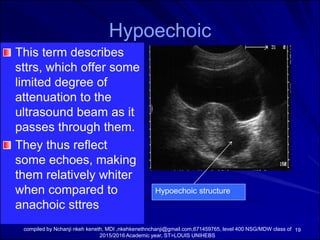 Basic physics of ultrasound | PDF