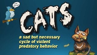 Basic play for CATS a sad but necessary cycle of predatory behavior