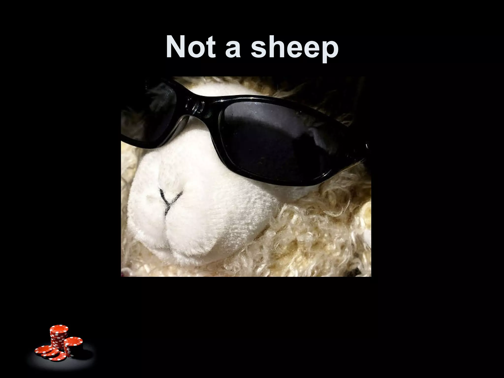 Not a sheep 