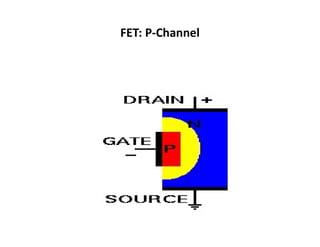 FET: P-Channel
 