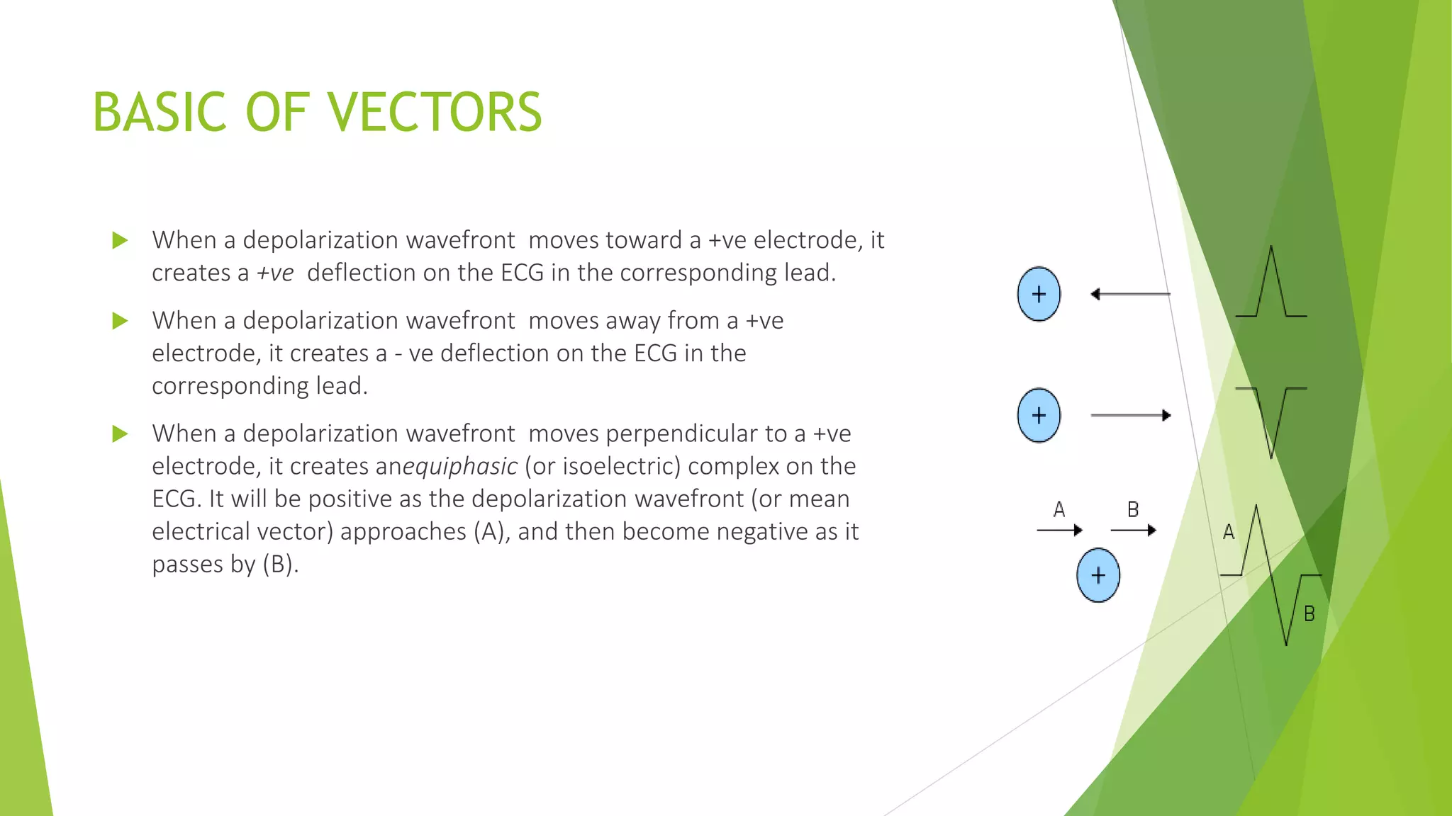 BASIC OF VECTORS
 When a depolarization wavefront moves toward a +ve electrode, it
creates a +ve deflection on the ECG in the corresponding lead.
 When a depolarization wavefront moves away from a +ve
electrode, it creates a - ve deflection on the ECG in the
corresponding lead.
 When a depolarization wavefront moves perpendicular to a +ve
electrode, it creates anequiphasic (or isoelectric) complex on the
ECG. It will be positive as the depolarization wavefront (or mean
electrical vector) approaches (A), and then become negative as it
passes by (B).
 