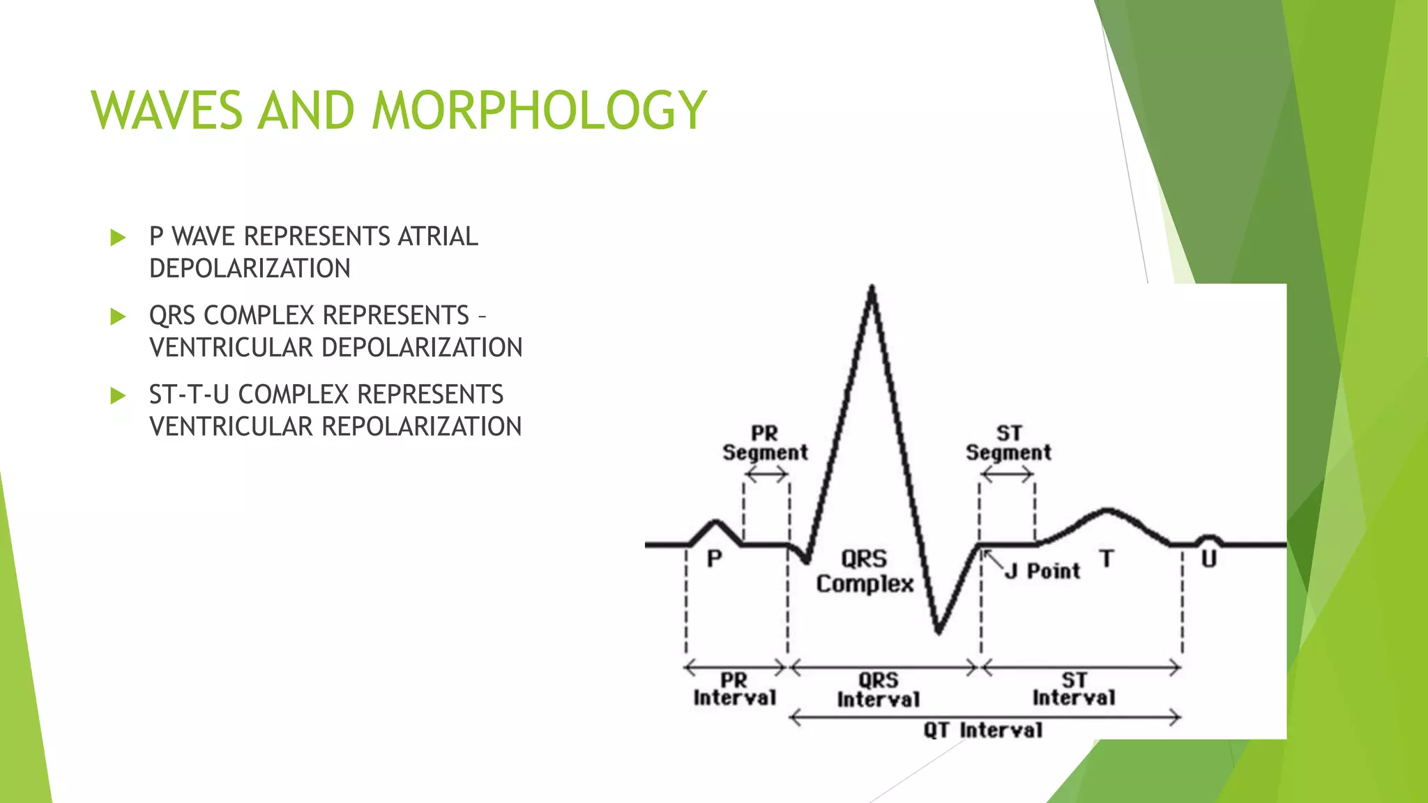 WAVES AND MORPHOLOGY
 P WAVE REPRESENTS ATRIAL
DEPOLARIZATION
 QRS COMPLEX REPRESENTS –
VENTRICULAR DEPOLARIZATION
 ST-T-U COMPLEX REPRESENTS
VENTRICULAR REPOLARIZATION
 