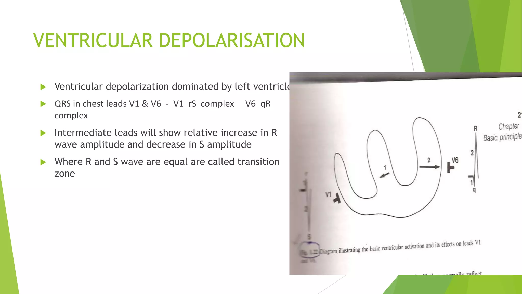 VENTRICULAR DEPOLARISATION
 Ventricular depolarization dominated by left ventricle
 QRS in chest leads V1 & V6 - V1 rS complex V6 qR
complex
 Intermediate leads will show relative increase in R
wave amplitude and decrease in S amplitude
 Where R and S wave are equal are called transition
zone
 