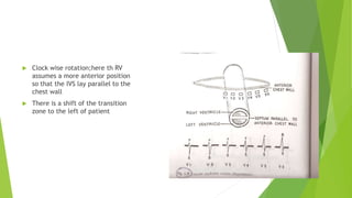 Introduction to ECG | PPTX