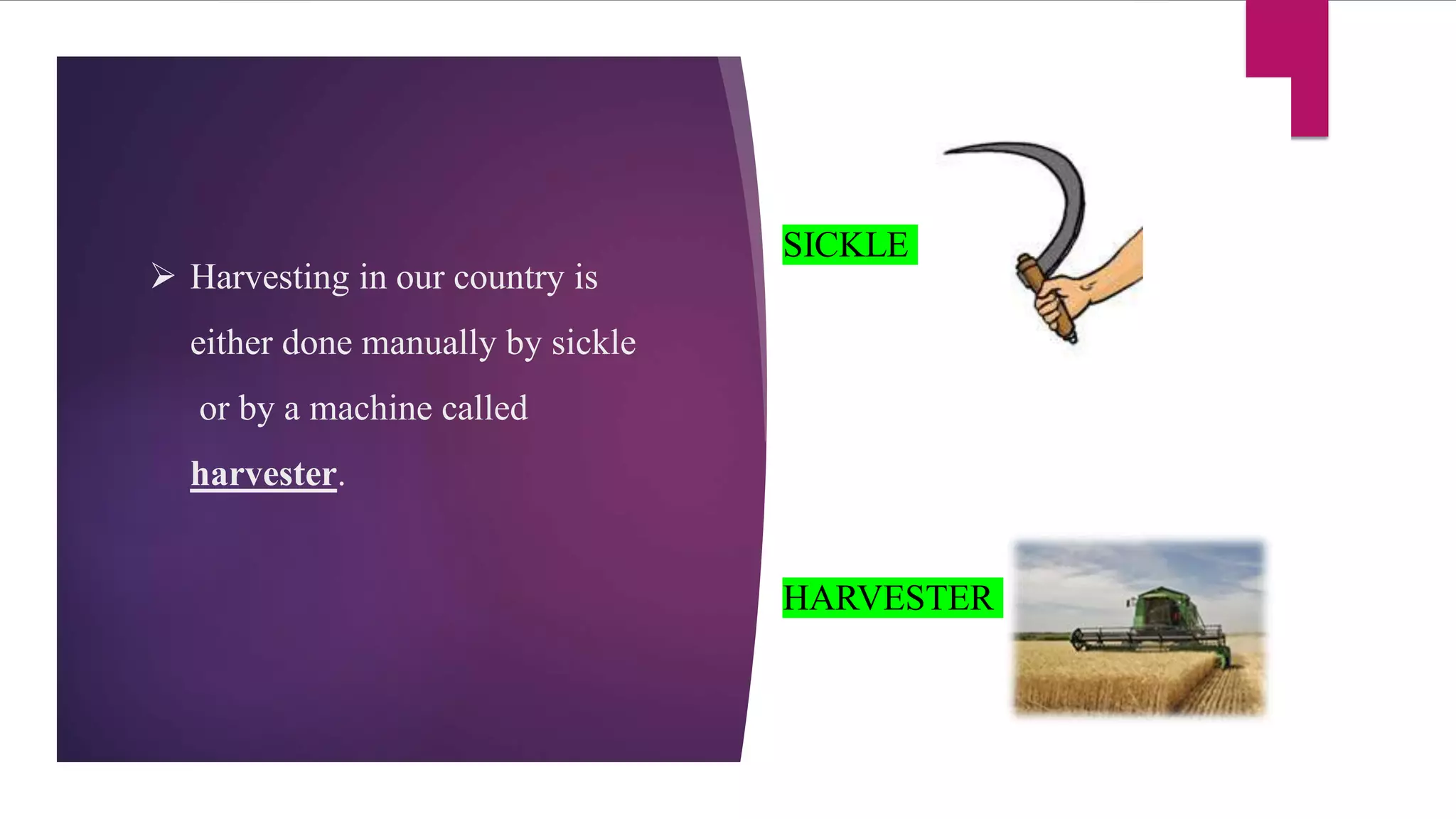 Basic practices of crop production PPT