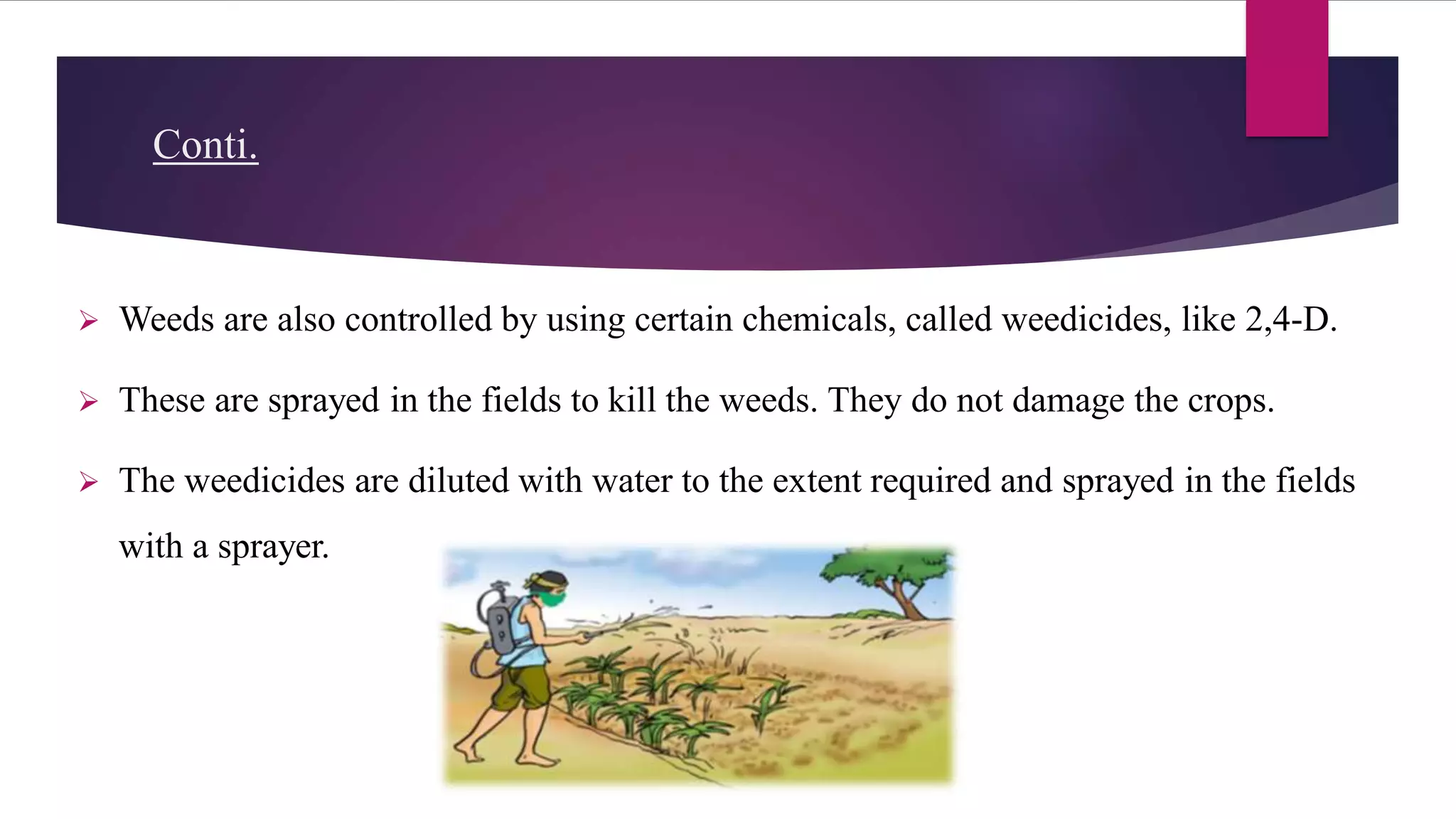 Basic practices of crop production PPT