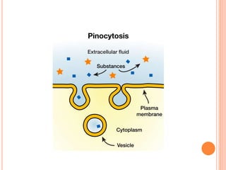 basic principle of absorption.pptx