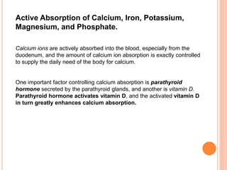 Active Absorption of Calcium, Iron, Potassium,
Magnesium, and Phosphate.
Calcium ions are actively absorbed into the blood, especially from the
duodenum, and the amount of calcium ion absorption is exactly controlled
to supply the daily need of the body for calcium.
One important factor controlling calcium absorption is parathyroid
hormone secreted by the parathyroid glands, and another is vitamin D.
Parathyroid hormone activates vitamin D, and the activated vitamin D
in turn greatly enhances calcium absorption.
 