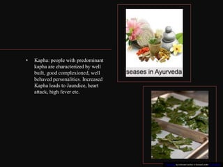 • Kapha: people with predominant
kapha are characterized by well
built, good complexioned, well
behaved personalities. Increased
Kapha leads to Jaundice, heart
attack, high fever etc.
This Photo by Unknown author is licensed under CC BY-SA-NC.
 