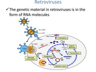 Retroviruses
The genetic material in retroviruses is in the
form of RNA molecules
 