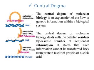  Central Dogma
 