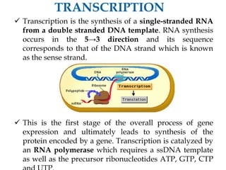  Transcription is the synthesis of a single-stranded RNA
from a double stranded DNA template. RNA synthesis
occurs in the 5→3 direction and its sequence
corresponds to that of the DNA strand which is known
as the sense strand.
 This is the first stage of the overall process of gene
expression and ultimately leads to synthesis of the
protein encoded by a gene. Transcription is catalyzed by
an RNA polymerase which requires a ssDNA template
as well as the precursor ribonucleotides ATP, GTP, CTP
 