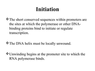 Initiation
The short conserved sequences within promoters are
the sites at which the polymerase or other DNA-
binding proteins bind to initiate or regulate
transcription.
The DNA helix must be locally unwound.
Unwinding begins at the promoter site to which the
RNA polymerase binds.
 